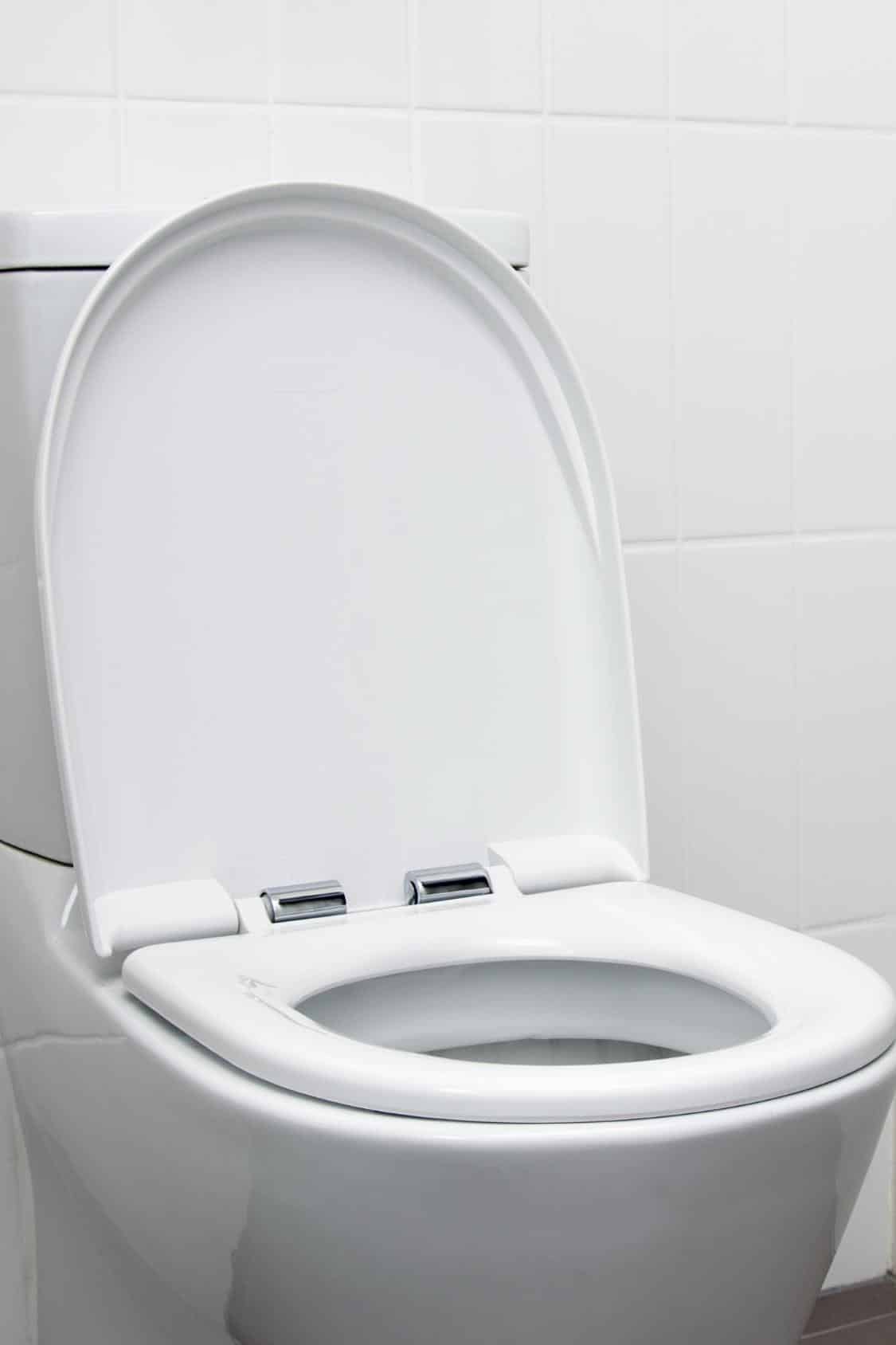 What Is A Short Projection Toilet? And Should You Get One?
